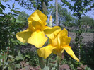 11052012