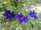 11052012