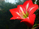 DSCN5028