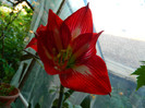 DSCN5030