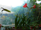 DSCN5032