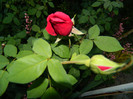 DSCN5039