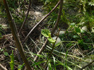 P1320902