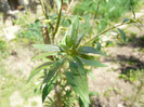 P1320907