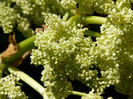 P1320919