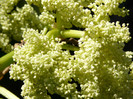 P1320920