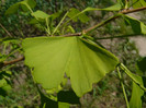 P1320922