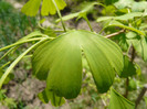 P1320924