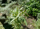 P1320930