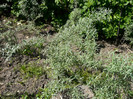 P1320936