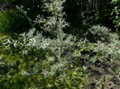 P1320937