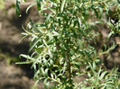 P1320940