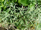 P1320943