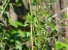 P1320947