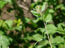 P1320952