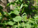 P1320953