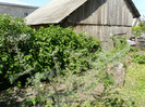 P1320956
