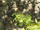 P1320965