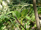 P1320967