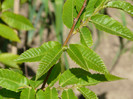 P1320968