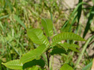 P1320969