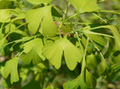 P1320972