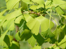 P1320974