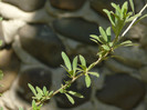 P1320976