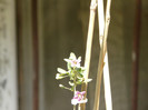 P1320979