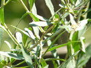 P1320982
