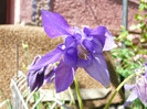 P1320992