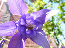 P1320995
