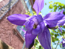 P1320997