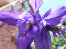 P1320999