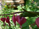 P1330001