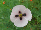 DSCN2563