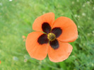DSCN2564
