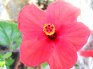 DSCN2580