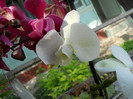 DSCN2584
