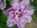 DSCN2591