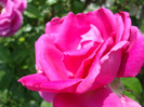 DSC05016