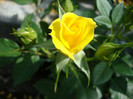 DSC05008