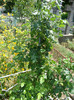 DSC05009