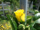 DSC05010
