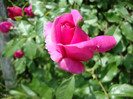 DSC05014