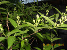 DSCN0906