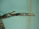 P1030912