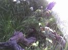 11-05-12_1120