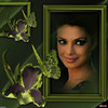 la Delia, Aman si Priya