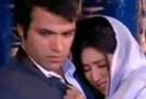 metromasti_photos